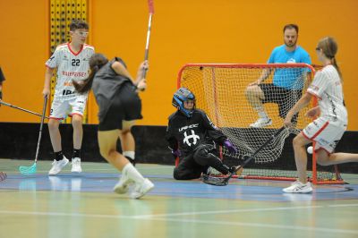 mi c 20240807212922 dsc