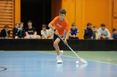 mi c 20240807221052 dsc